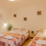 Apartment Rozle Kranjska Gora
